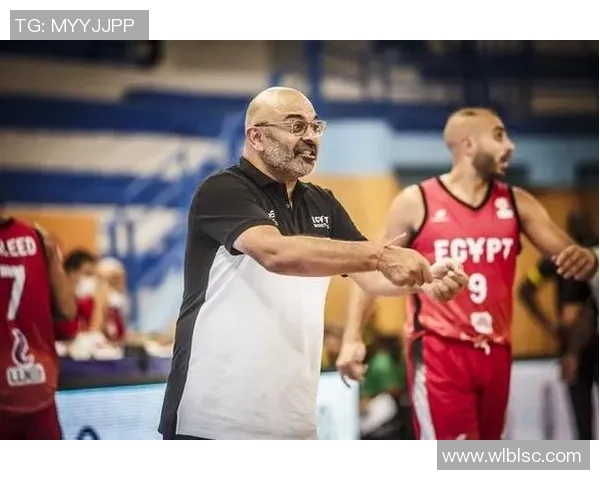 武汉篮球队逆袭之路揭秘：从低谷到巅峰的奋斗与荣耀