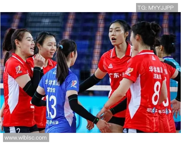 深圳与武汉排球队对决赛后分析与经验总结