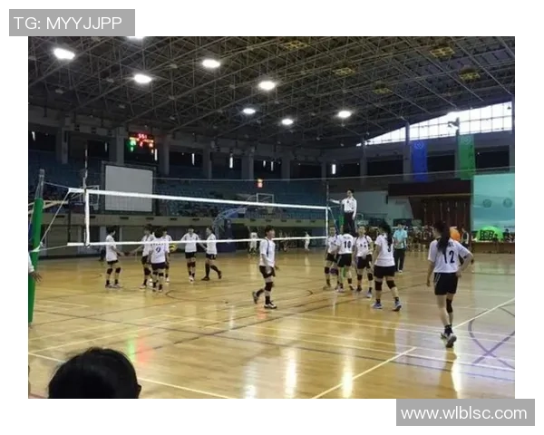 深圳篮球队团队协作引发热议球迷对战术配合产生不同看法